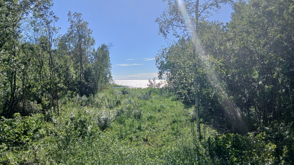 Tag 25
