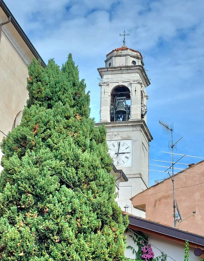 Lazise