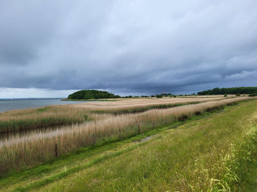 Wanderung bei Orth zum Flügger Leuchtturm