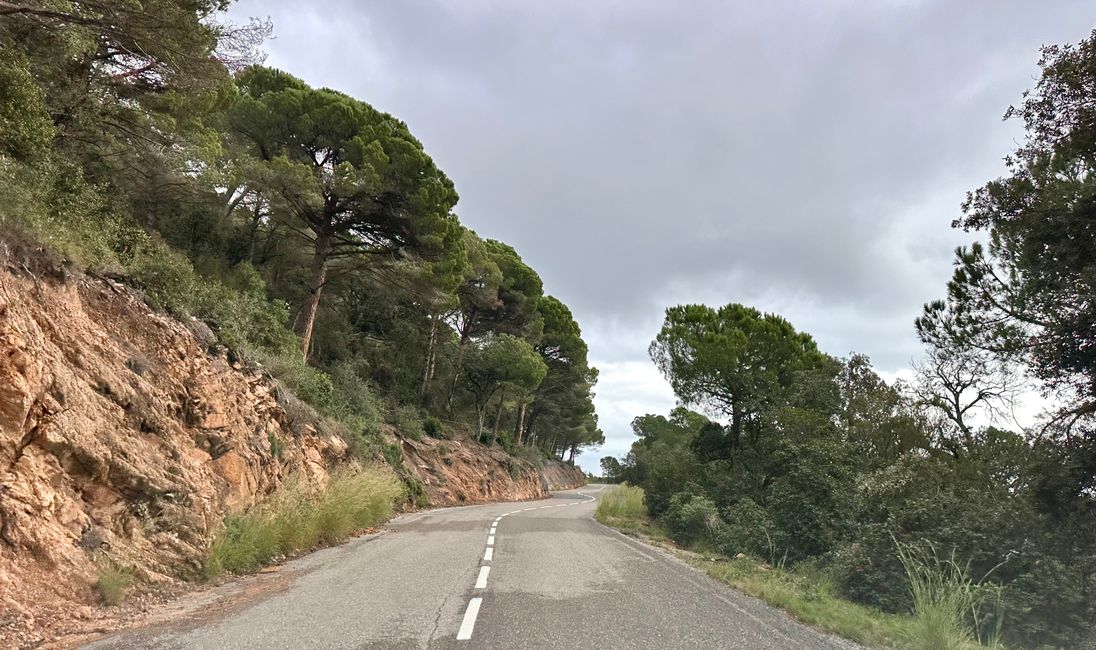 We are doing well, thank you! 
Coastal road from Sant Feliu de Guíxols to Tossa de Mar