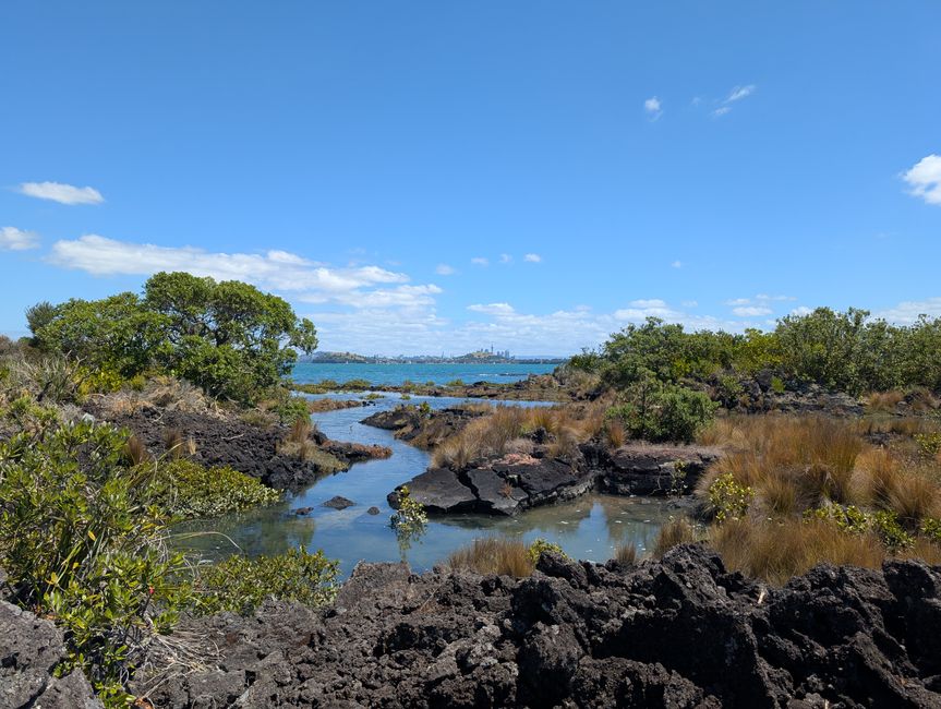 Rangitoto Island - 
Juhu, Achso und AUJA!!!