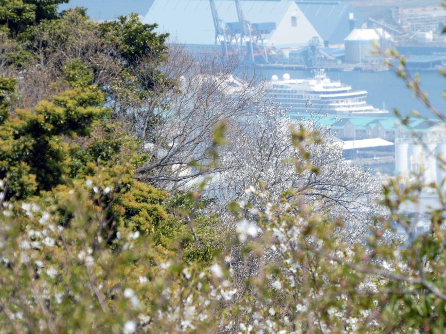 Nihondaira Yume Terrace