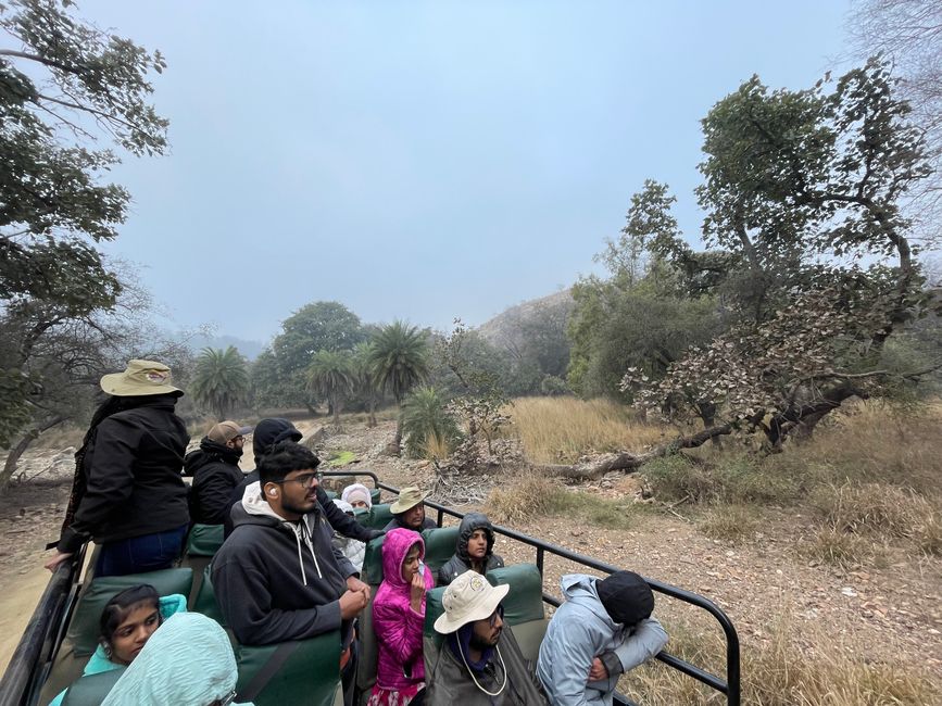 India • Ranthambhore National Park