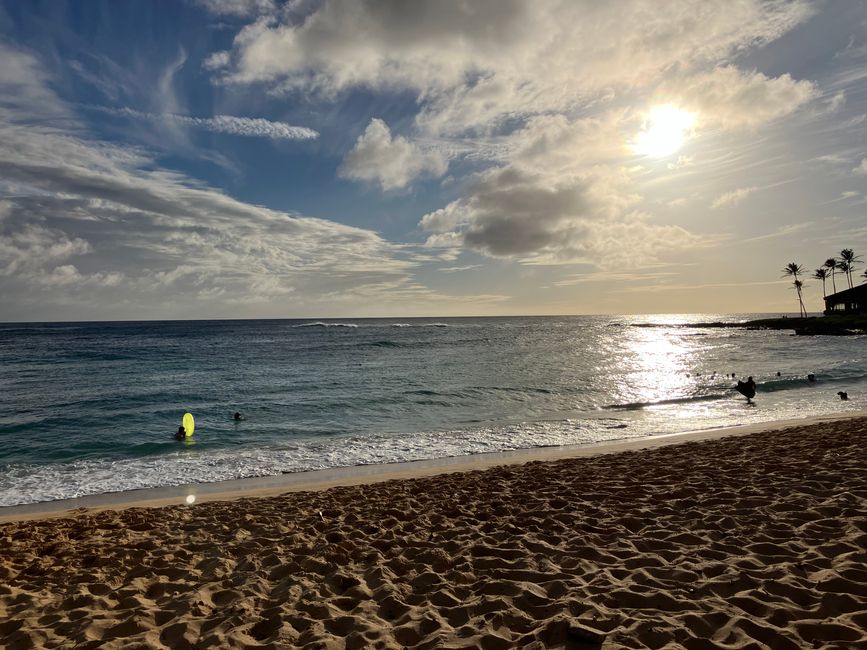 D18 - 7am Yoga with Norbi and Poipu beach with monk seals, sea turtles and Humuhumunukunukuapua‘a