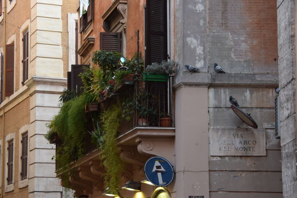Viaggio in città a Roma