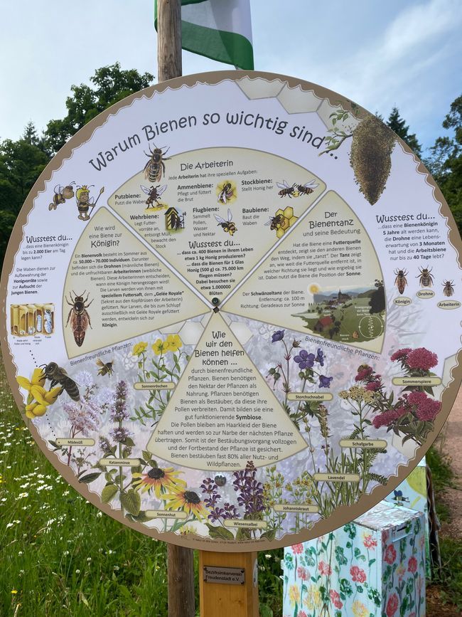 Hier wird für Bienen geworben
