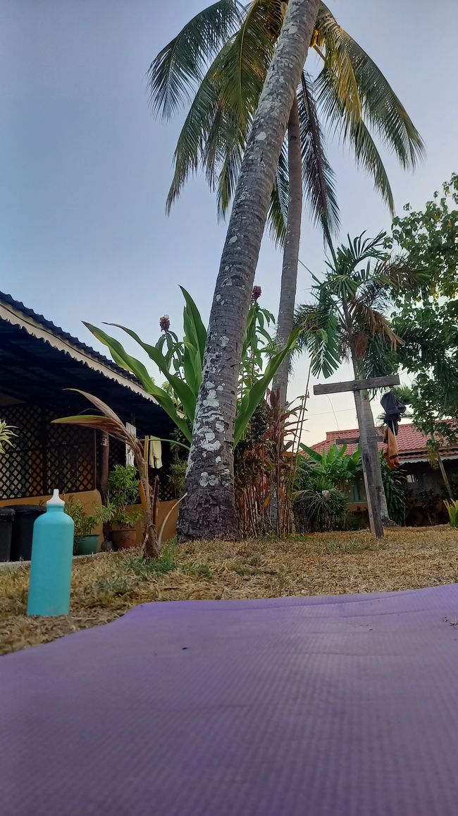 Solo sunrise yoga