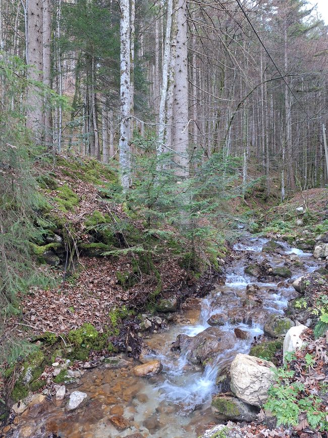 Zugfahrt von Saarbrücken nach Neapel