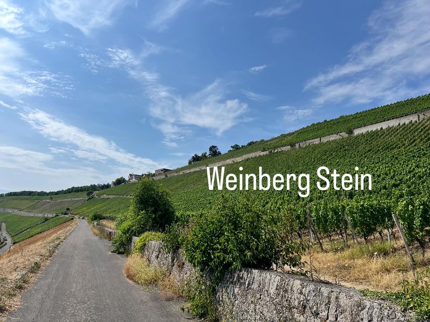 1. Étape : Nuremberg - Bad Kissingen