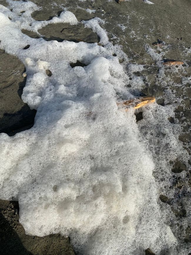 Von den Bergen ans Meer