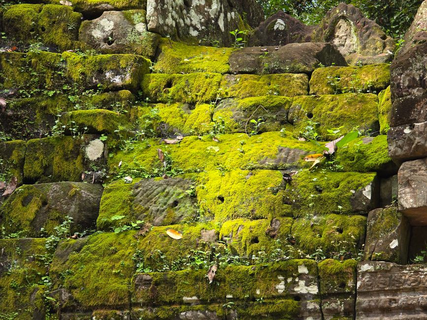 Alles kommt anders... - oder: Die Tempelanlagen von Angkor