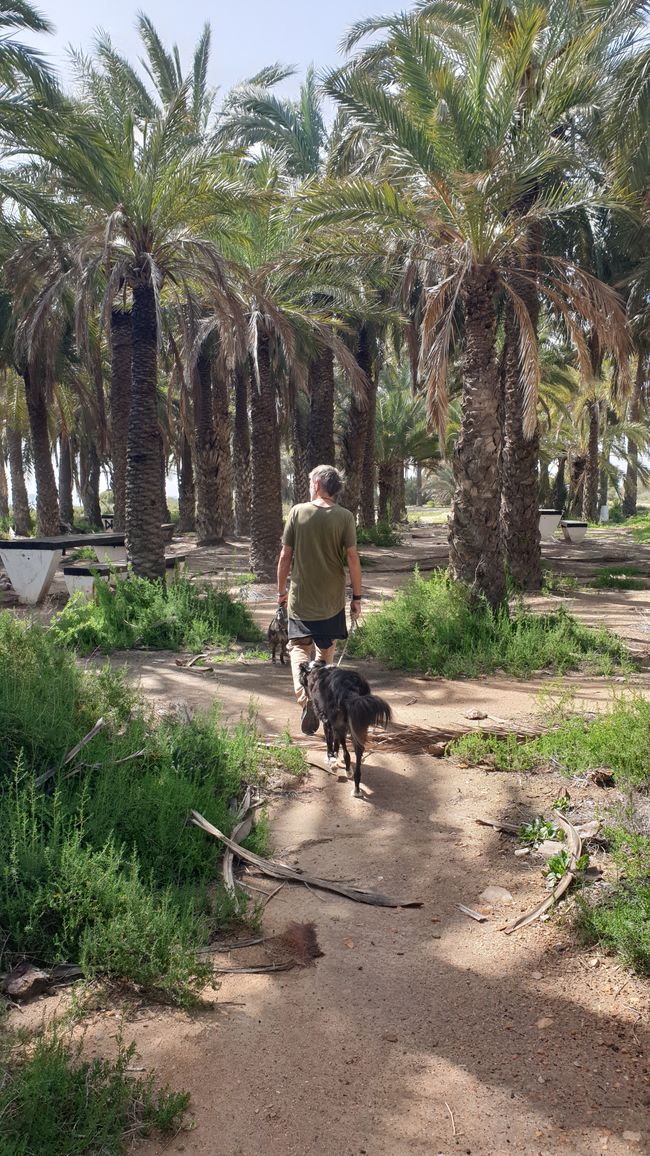 Alicante?...no grazie 609