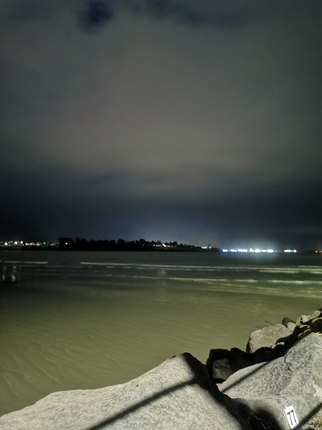 Timaru, bei den Pinguin Neststellen