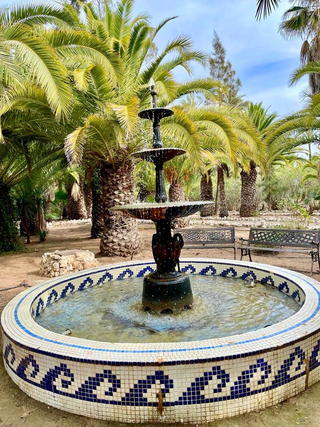 A fountain in the palm park.