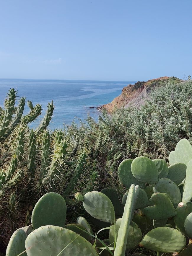 Luz -> Burgau -> Salema