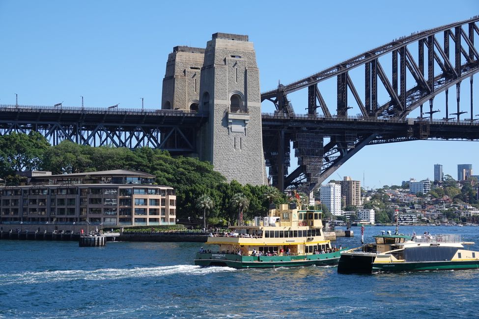 Sulle spiagge di Manly ....