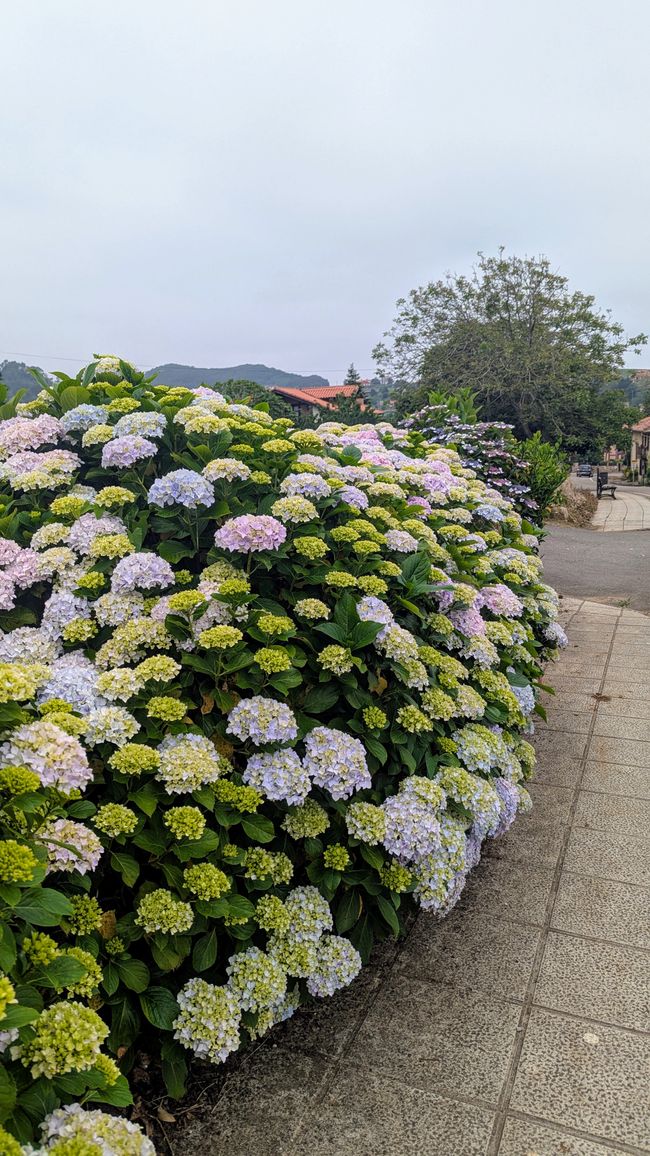 9. Etappe Camino del Norte von Santillana del Mar nach Comillas