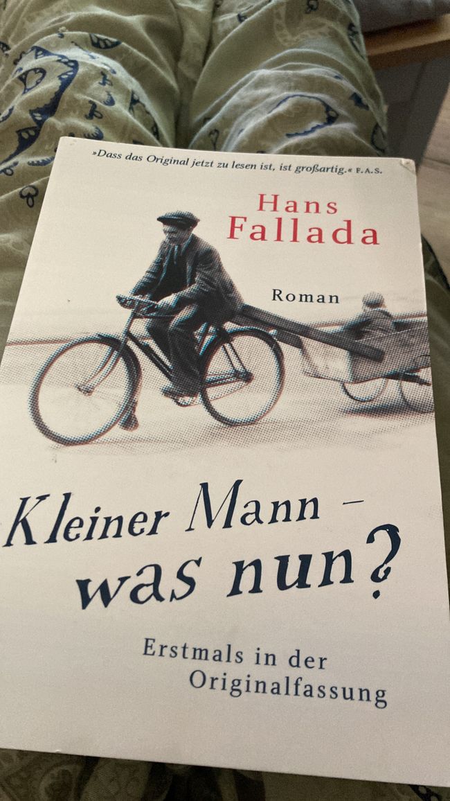 Landregen und Fallada begleiten mich durch die Feldberger Seenlandschaft