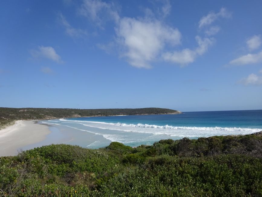 Blossom Beach