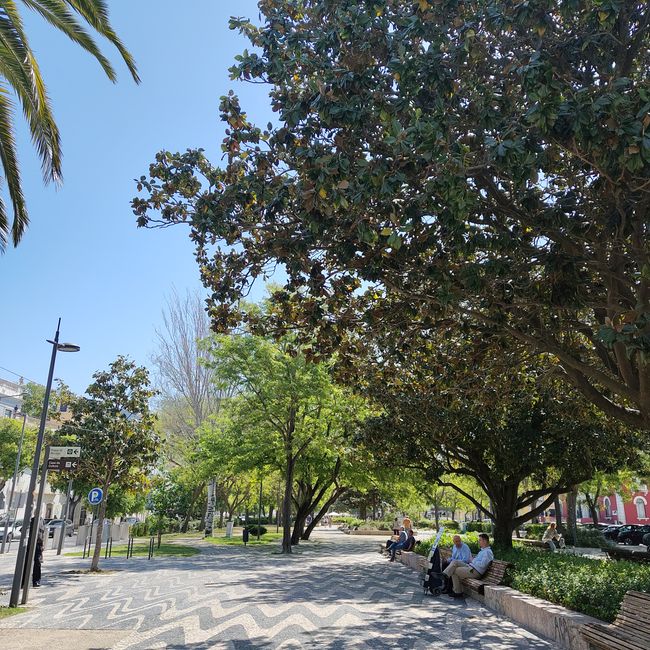 Setúbal