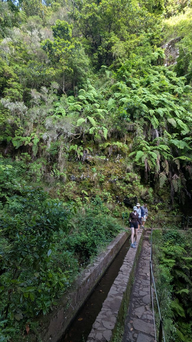 Tag 14: Levada do Caldeirão Verde & Nordküste