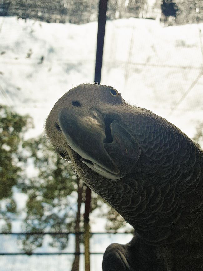 Bird Park