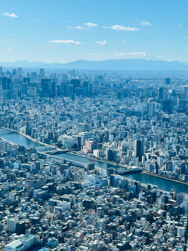 Cesta do Japón