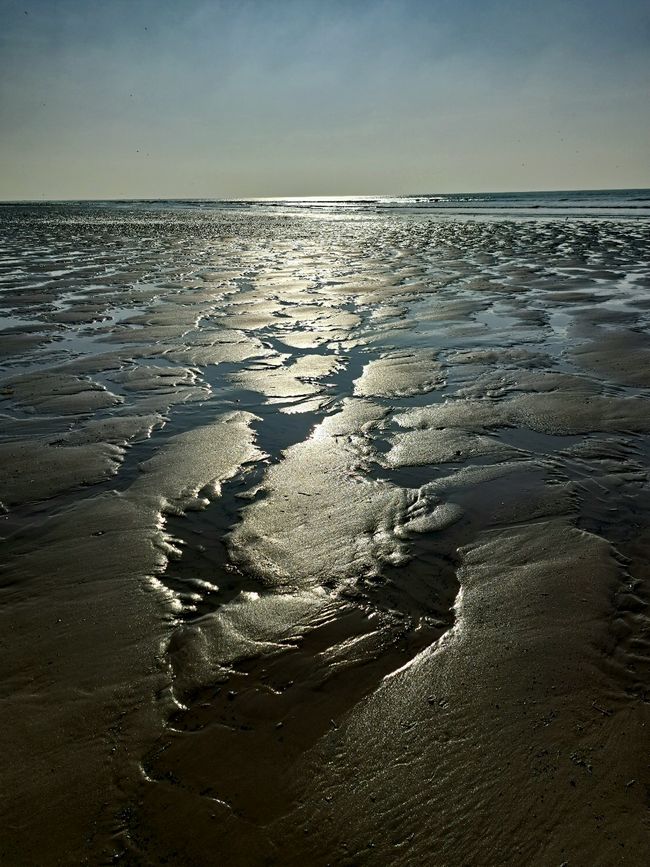 Plage Dannes