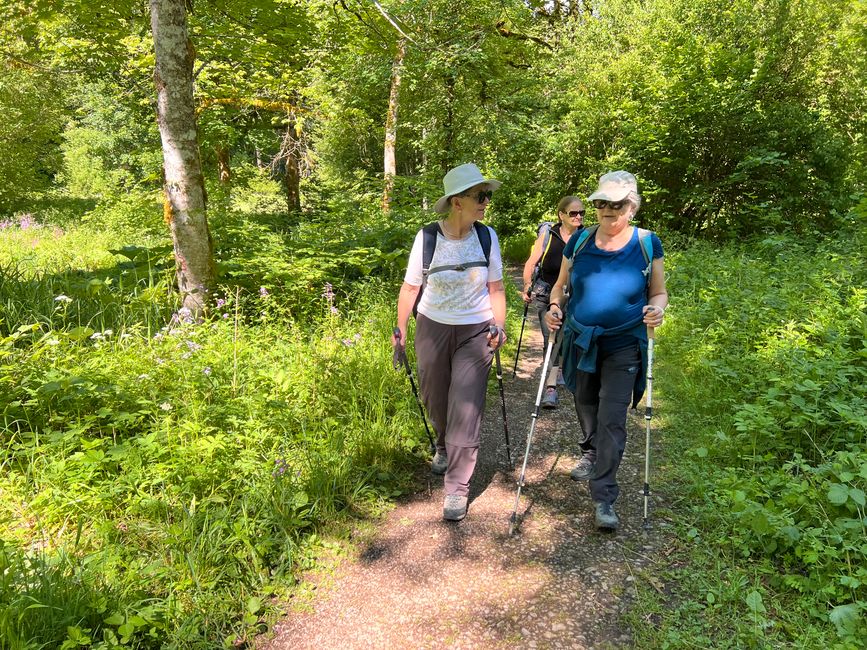 28 Wutachschlucht Pro Wolermoos