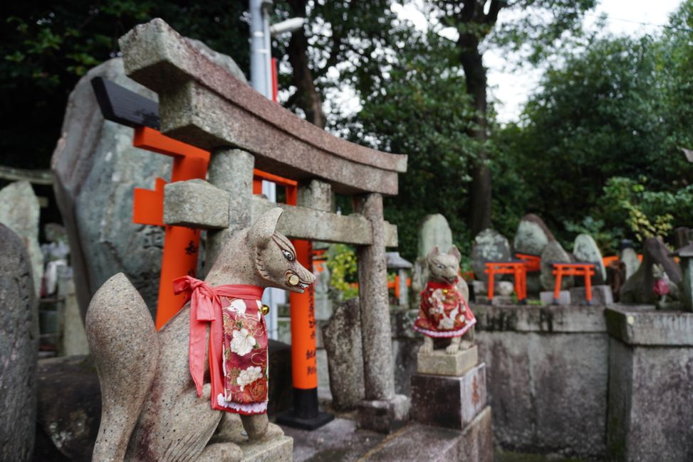 Im Sprint durch Kyoto