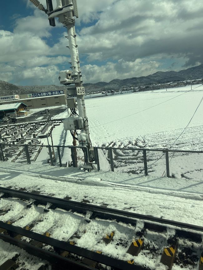 Kirschblüten in Japan - Tag 12-13 