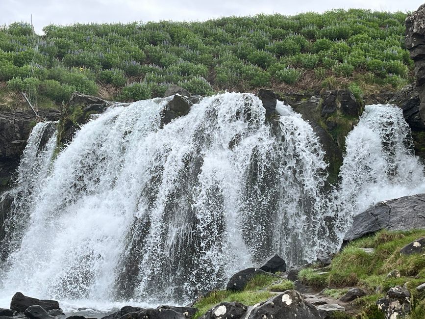 Weiterfahrt Richtung Westisland