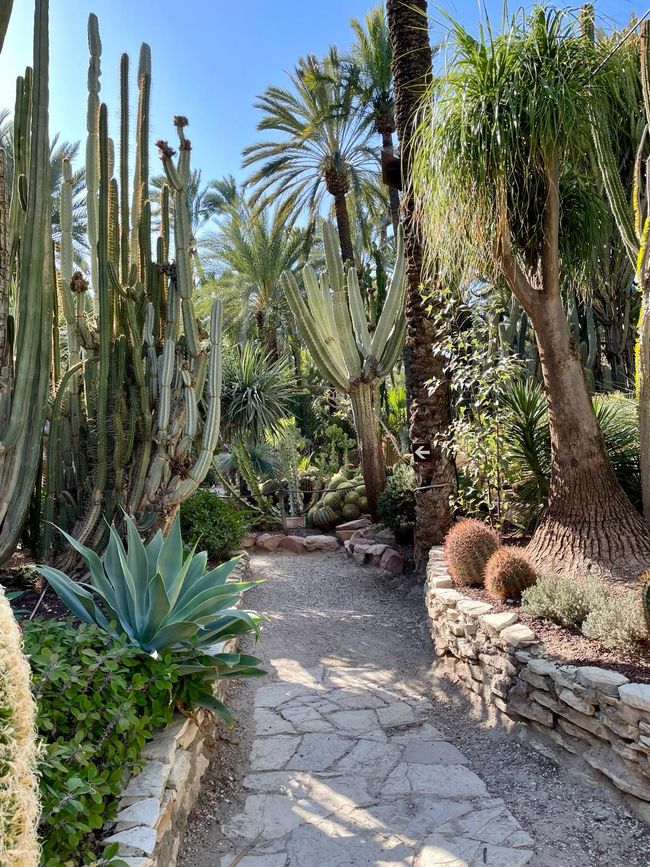 Hundreds of different types of cacti line the paths.