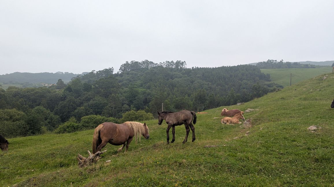 9. Etappe Camino del Norte von Santillana del Mar nach Comillas