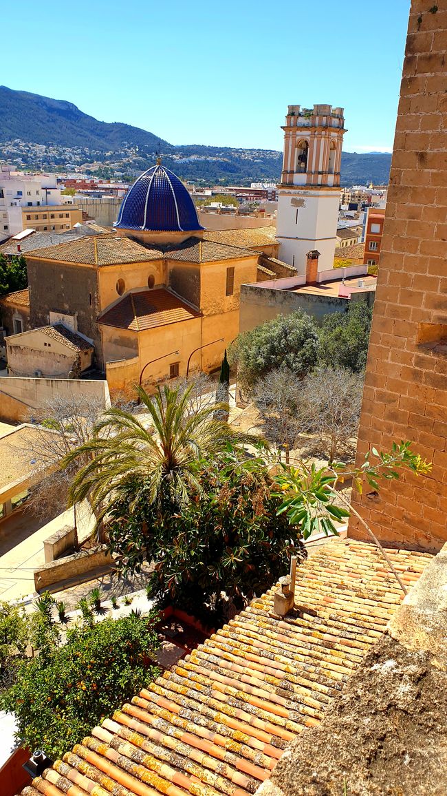 Alicante?...no grazie 609