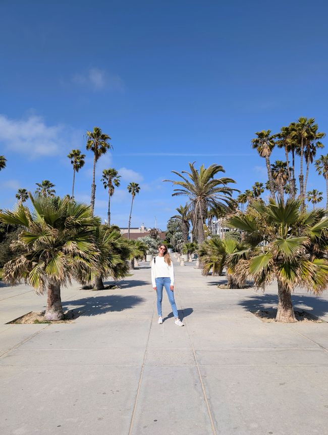 Venice Beach