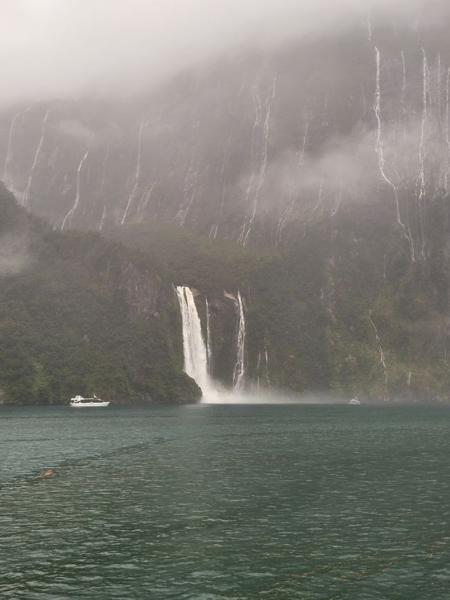 Tag 87 von 175: Kreuzfahrt rund um die Welt - Kreuzen im Milford Sound/Neuseeland