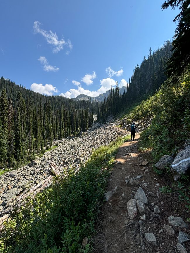 Tag 8 - Mount Revelstoke Nationalpark