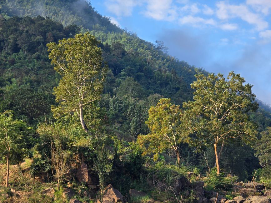 Auf dem Mekong von Luang Prabang nach Ban Houayxay