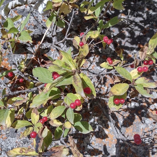 Wanderung im Ala-Artscha-Nationalpark