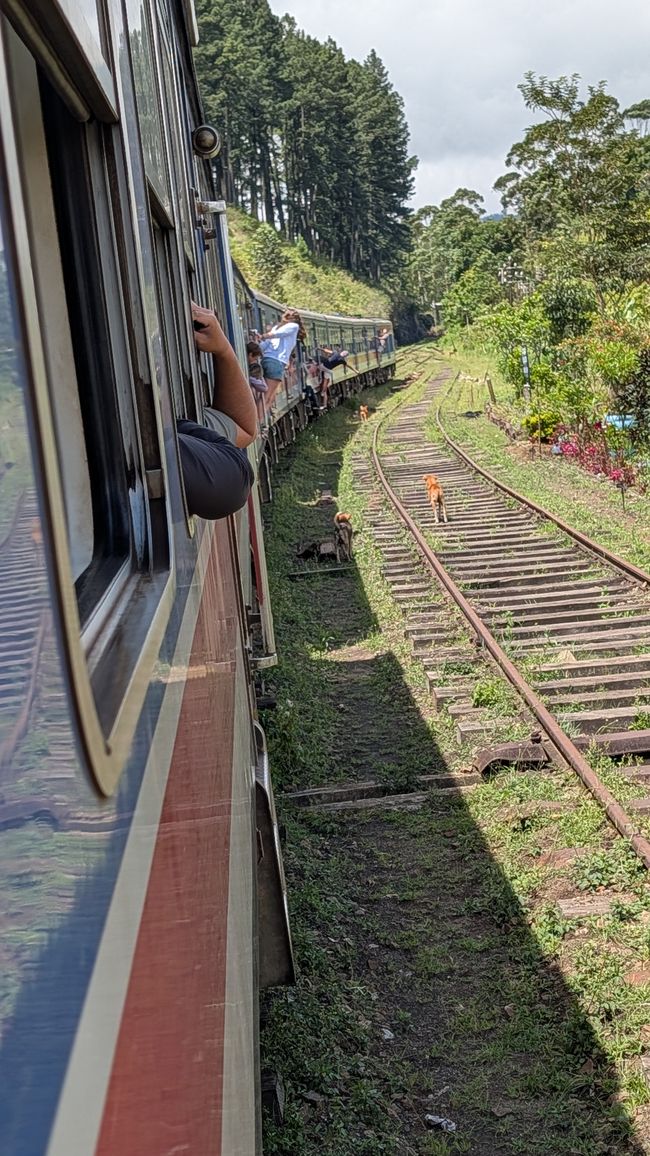 Billet de train oui ou non ?