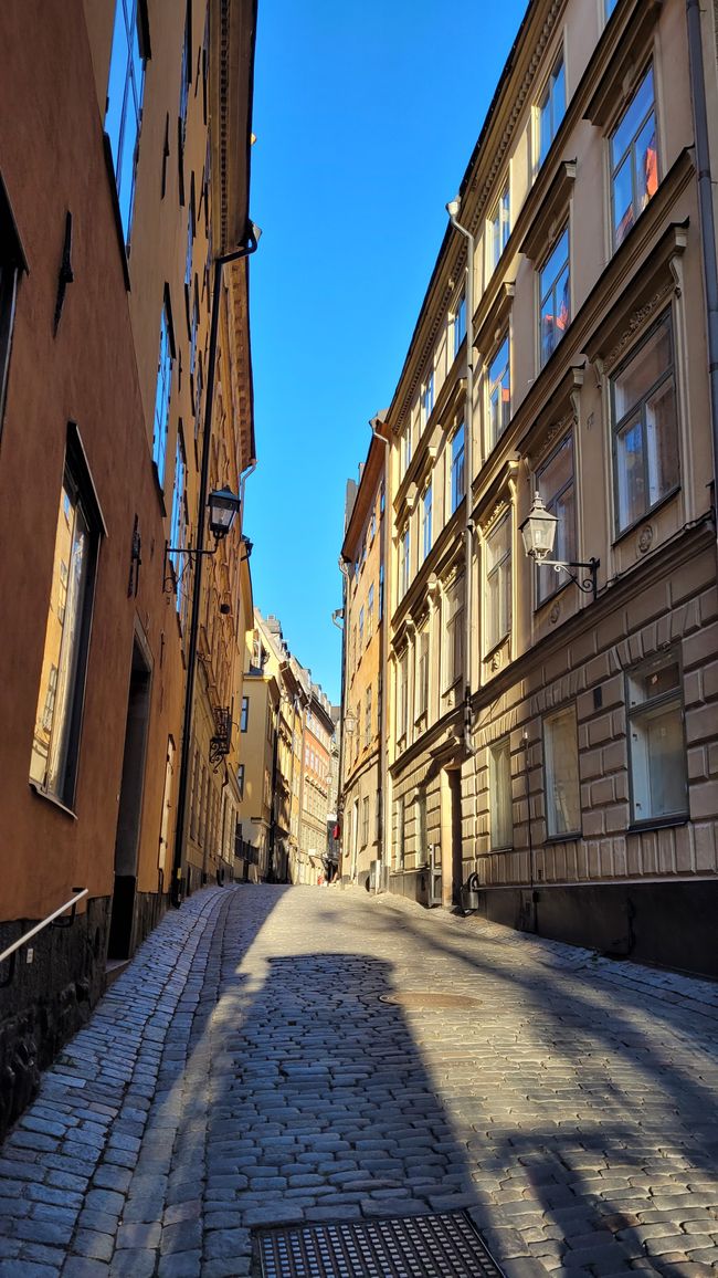 Stockholm 29 octobre-3 novembre 2024
2 novembre