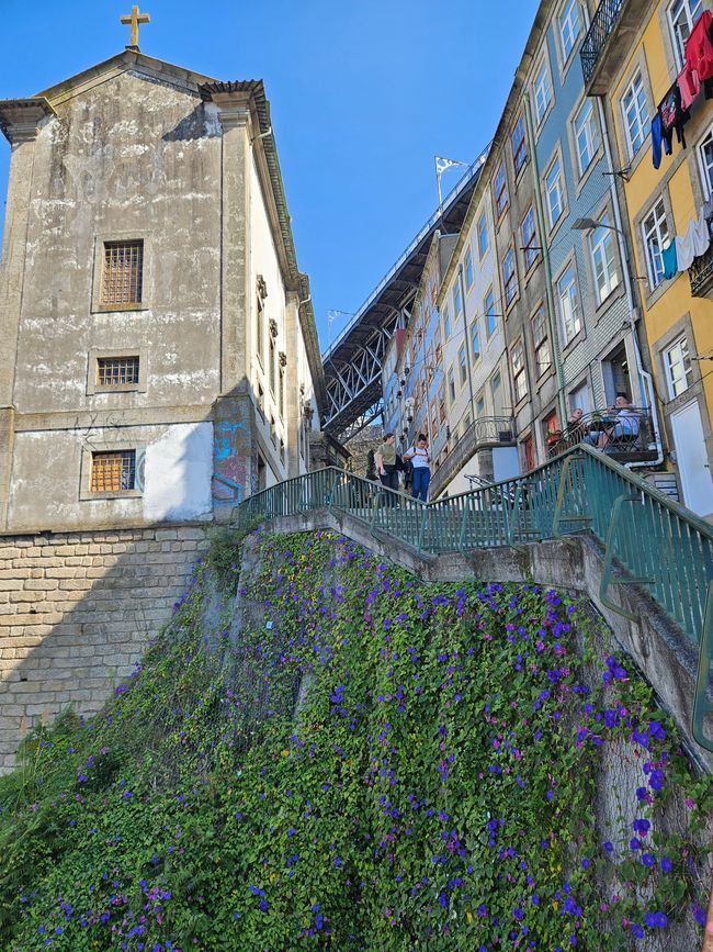 A Day in Porto