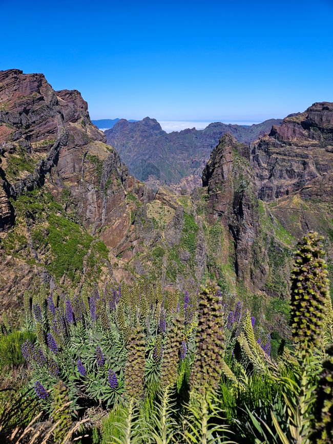 Tag 12: Dem Himmel so nah -  Pico do Areeio