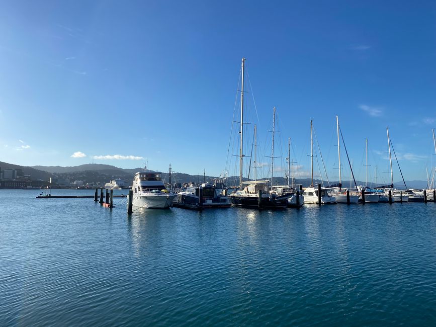 Puerto de barcos a vela de Wellington