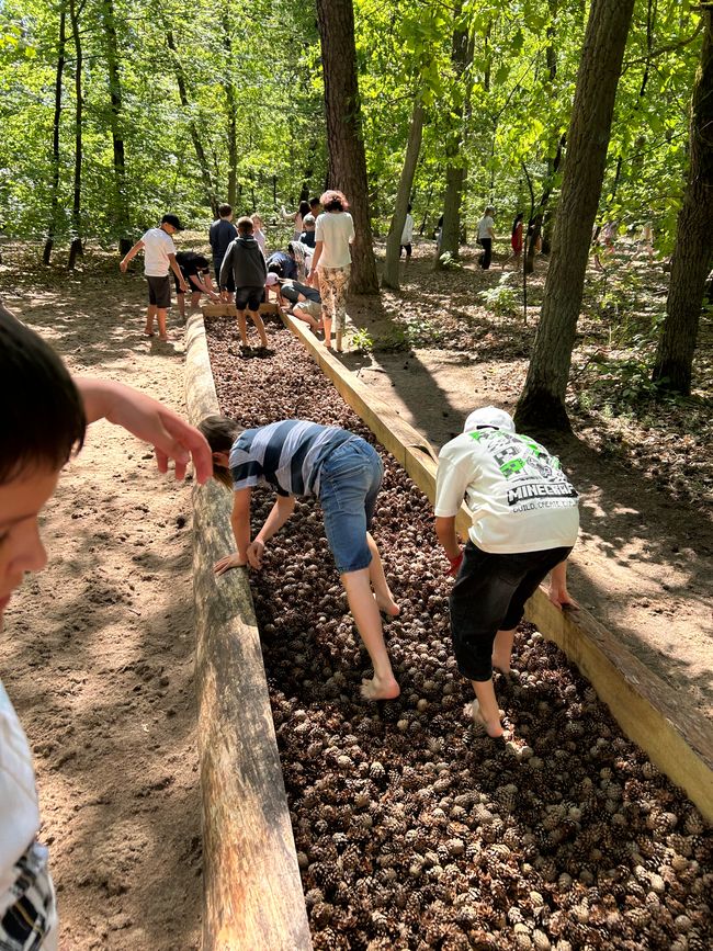School trip to Petzow