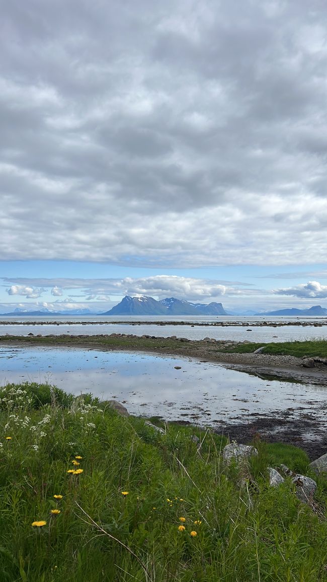 LOFOTEN - Che mondo meraviglioso?