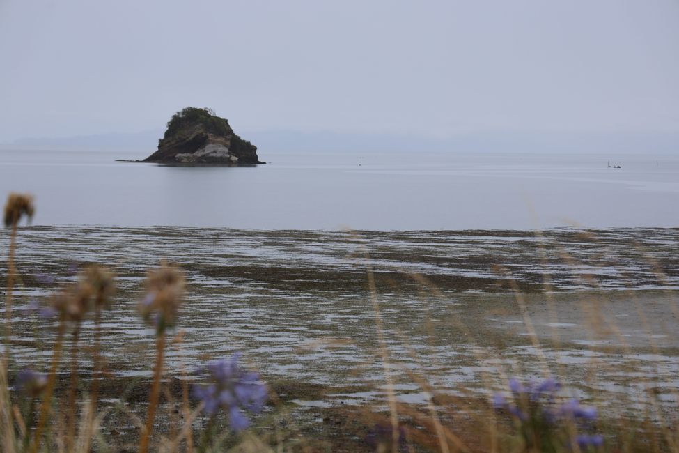 Abel Tasman