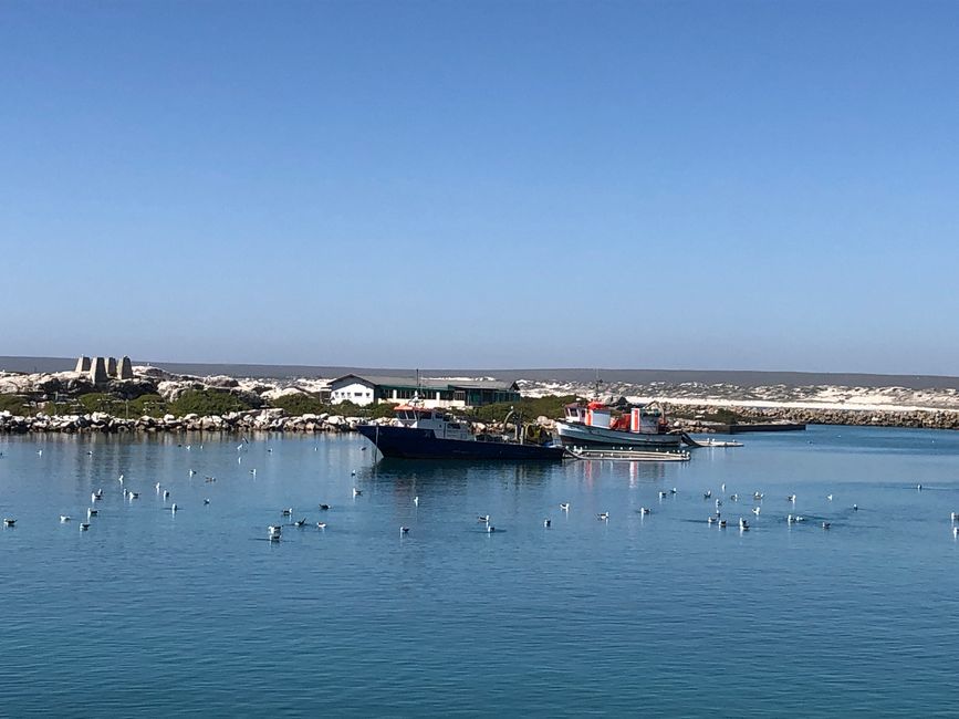 Lambert´s Bay - am Hafen