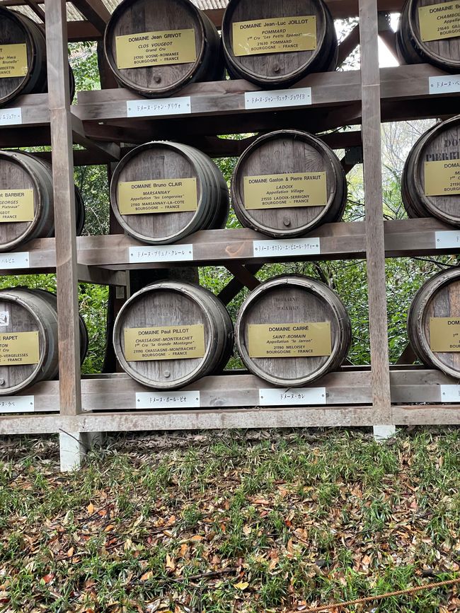 Whiskey Fässer im Meiji Park